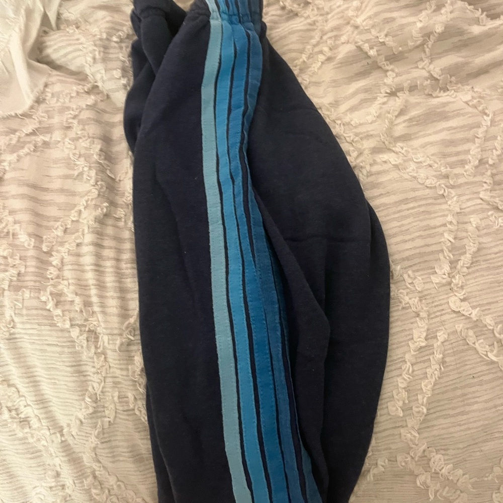 Aviator Nation Navy Sweatpants with Blue Accents